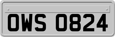 OWS0824