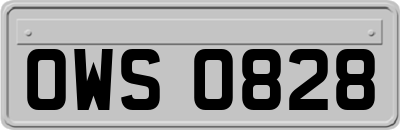 OWS0828