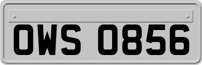 OWS0856
