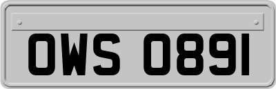 OWS0891
