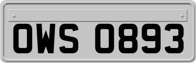 OWS0893