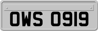 OWS0919