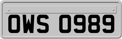 OWS0989
