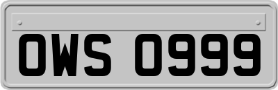 OWS0999