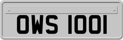 OWS1001