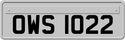 OWS1022