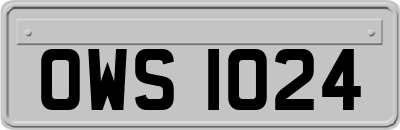OWS1024