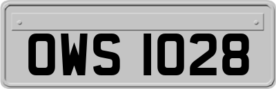 OWS1028