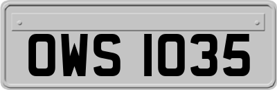 OWS1035