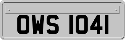 OWS1041