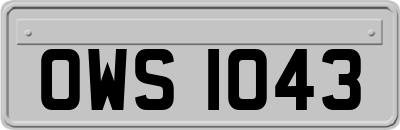 OWS1043