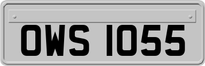 OWS1055