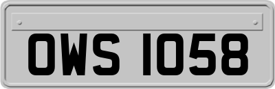 OWS1058