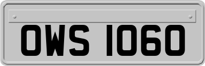 OWS1060