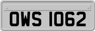 OWS1062