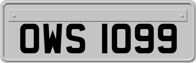 OWS1099