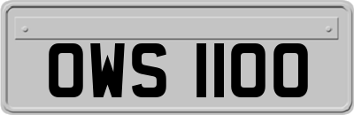 OWS1100