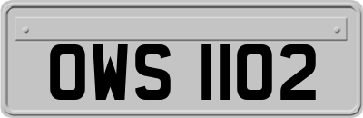 OWS1102