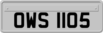 OWS1105