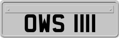 OWS1111