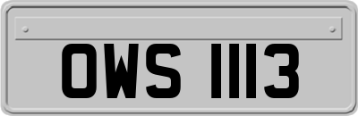 OWS1113