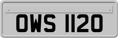 OWS1120