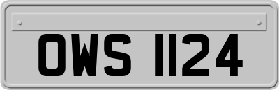 OWS1124