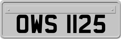 OWS1125