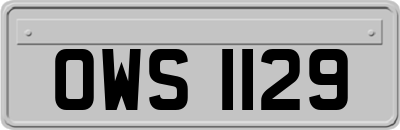 OWS1129