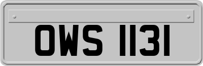 OWS1131