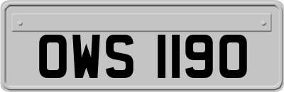 OWS1190
