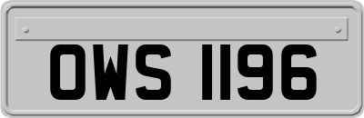 OWS1196