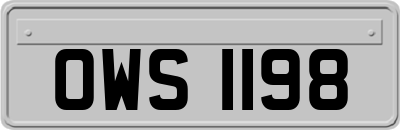 OWS1198