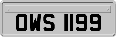 OWS1199