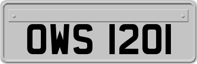 OWS1201