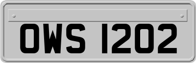 OWS1202