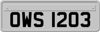 OWS1203