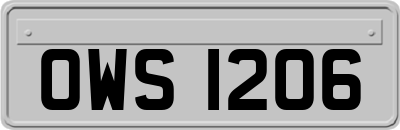 OWS1206