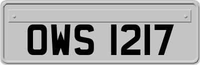 OWS1217