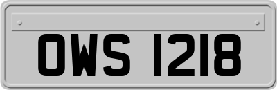 OWS1218