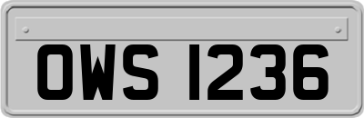 OWS1236