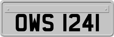 OWS1241