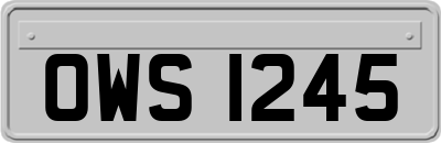 OWS1245