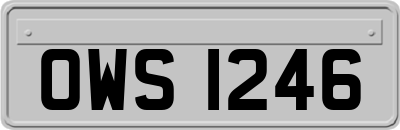 OWS1246