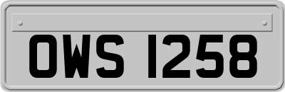 OWS1258