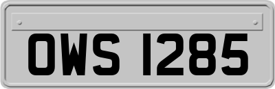 OWS1285
