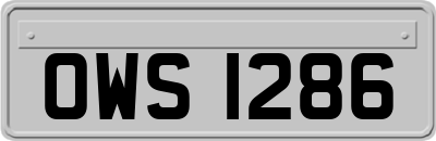 OWS1286