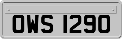 OWS1290