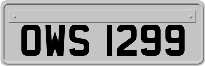 OWS1299