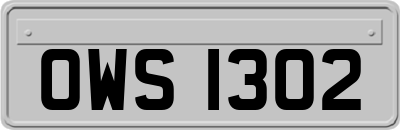 OWS1302
